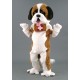 Saint Bernard