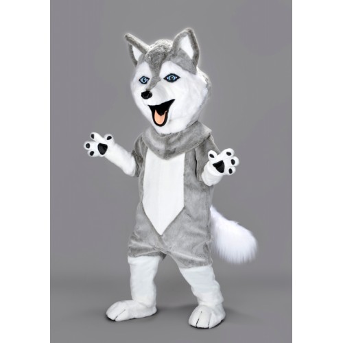 Mascotte Husky