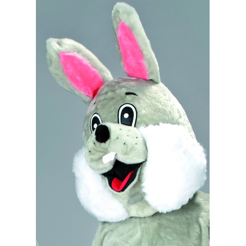 Lapin premier prix gris